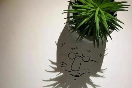 影子植物有哪些