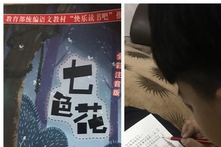 七色花中的珍珠阅读感想