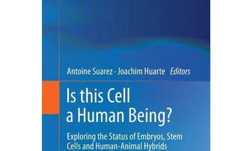 human beings是单数还是复数