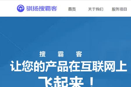 推广者是什么意思