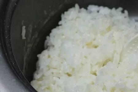 一两米能煮多少饭