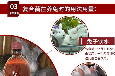 兔子的粪便里有什么细菌
