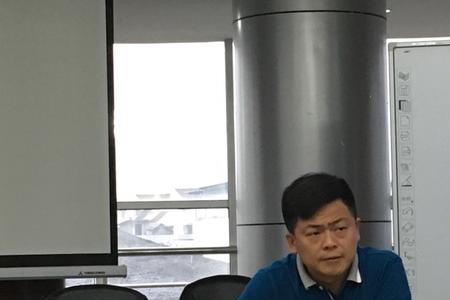 质量负责人在谁的带领下