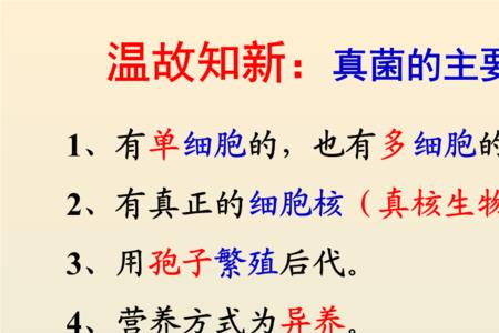 古诗中关于细菌的诗句
