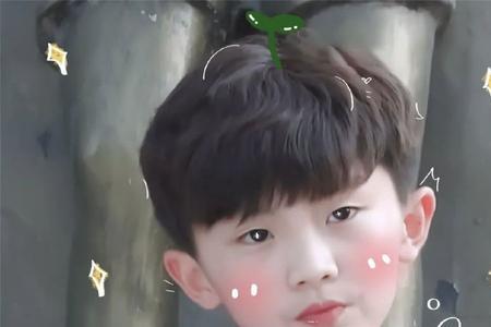 关于马嘉祺的头衔