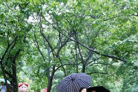 博山鲁山森林公园可以带宠物吗
