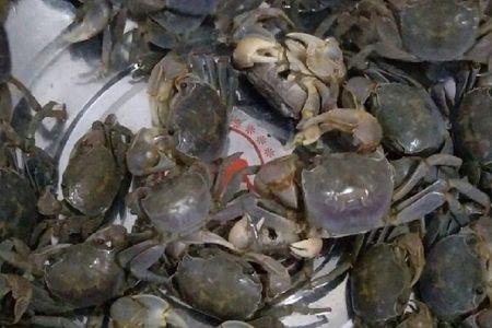 发财蟹生吃有没有寄生虫
