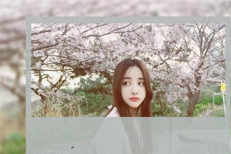 余生尽予是什么意思