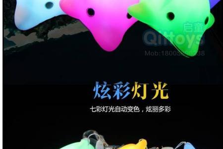 海豚晚上开什么灯