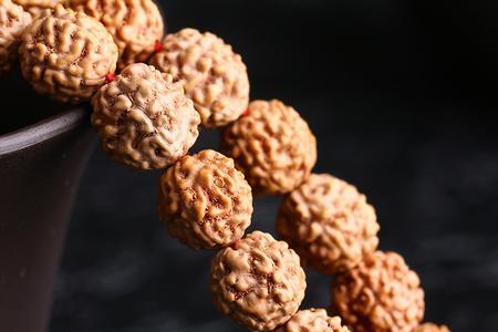 小金刚有味道正常吗