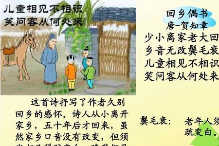 回乡偶书的诗什么分段