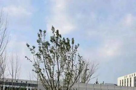 章丘在济南崛起的潜力