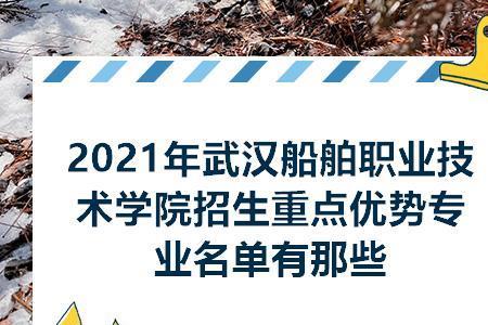船舶专业就业前景及待遇