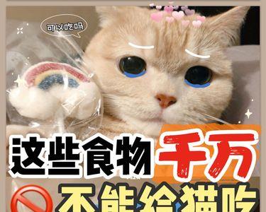 猫咪能吃儿菜吗
