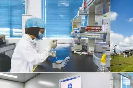 第三方基因检测机构靠谱吗
