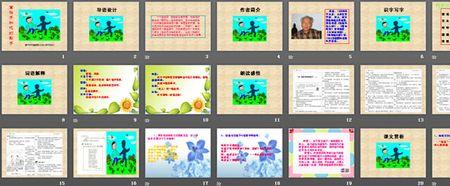 金波的雨主要表达什么内容