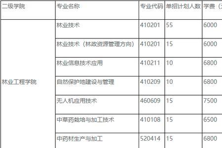 广西职业技术学院有护理专业吗