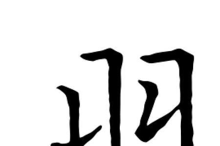 羽字是轴对称吗