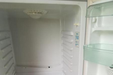 冰箱异响手按压就没响声