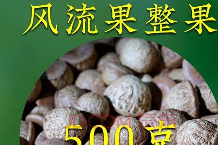 广西哪里是野生风流果产地