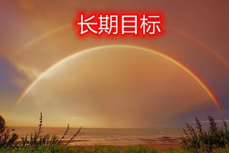 实现长期目标的战略要点