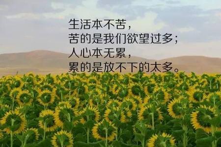 什么是精彩语句