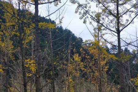 都匀十大露营地