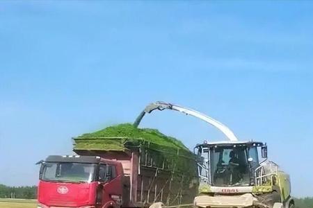 务农与粮农谁好