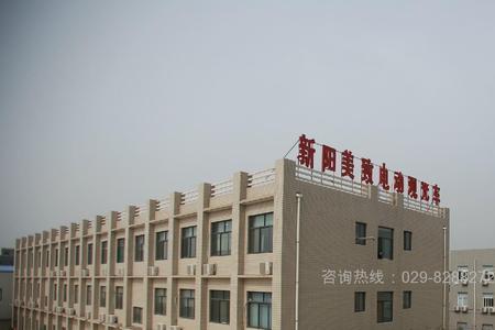 新阳科技集团有限公司会上市吗