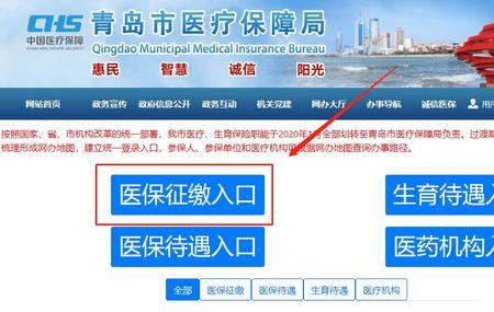 青岛怎么给孩子在网上交医保