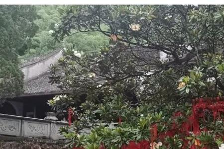 去寺庙求姻缘要准备什么