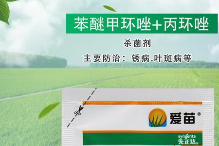 先正达爱苗有控旺效果吗