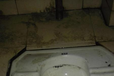 胡渣会堵住下水道吗