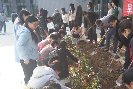 毕业种什么树有纪念意义