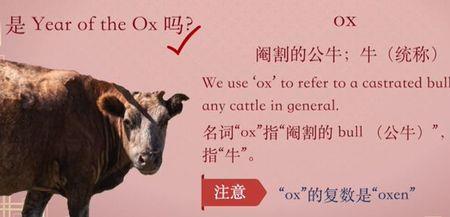 气什么词表示不会放弃