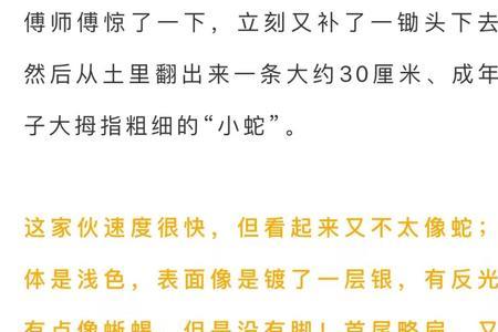 河里有鳗鱼只有一条吗