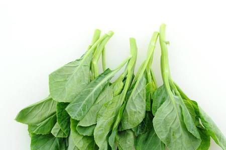菜苔和芥兰区别