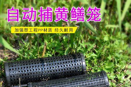 捉河虾笼子放什么饲料好