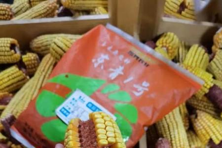 什么叫生产用种
