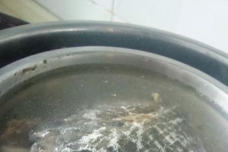 怎样清炖甲鱼汤