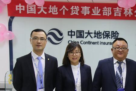 大地保险代偿怎么协商