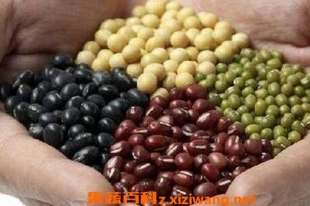 6月份种啥豆类