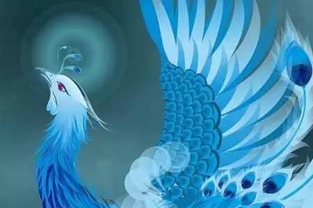 全职法师重明神鸟是朱雀吗