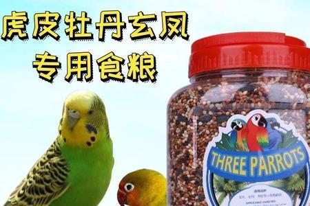 怎样给虎皮鹦鹉创造饲料