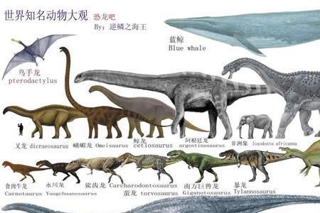 世界上有体型长100米的恐龙吗