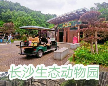 生态动物园在几点关门