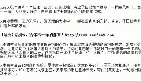 客至颔联修辞手法