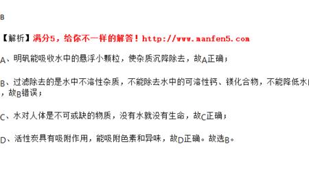 明矾化学沉降杂质过程