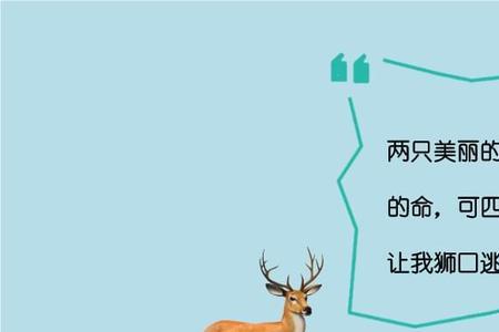 鹿角上还有鹿的封皮是什么书