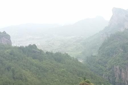 冠豸山生命之根怎么来的